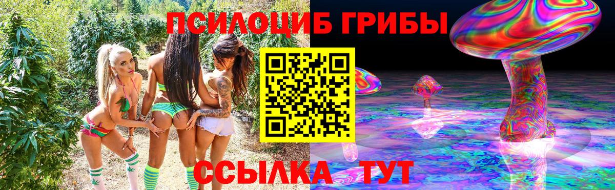 Ипатово  Псилоцибиновые грибы Magic Shrooms  Псилоцибиновые грибы ЛСД  Вход с VPN 